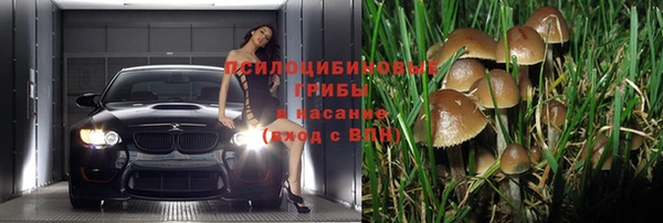 стафф Белокуриха